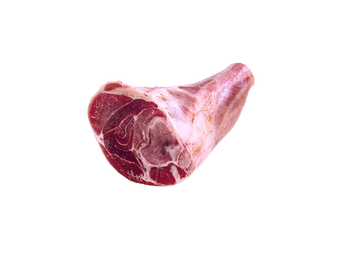 Hindshank