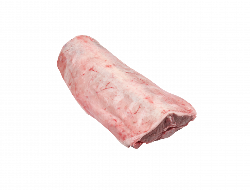Saddle v2